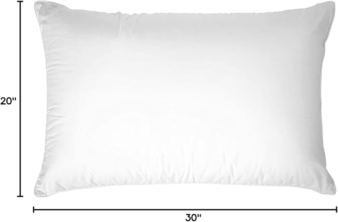 Classic Down Dreams Pillow Queen Firm Hilton Garden Inn by Hilton Hotels Set of 2