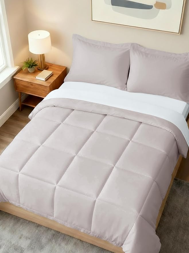 Queen Comforter Set - 3 Piece Bed Set for All Seasons - 1 Soft Quilted Comforter w/ Corner Tabs & 2 Pillow Shams - Comfy & Breathable - Premium Down Duvet Insert - Oeko-TEX - Queen Size, Light Grey