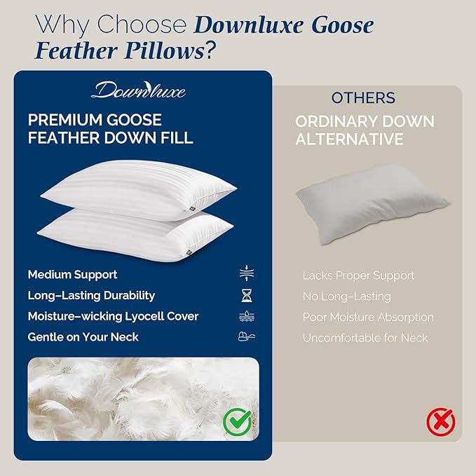 downluxe Goose Feather and Down Pillows - Hotel Collection Feather Pillows Set of 2 for Back, Stomach or Side Sleepers, Standard Size (20"x26")
