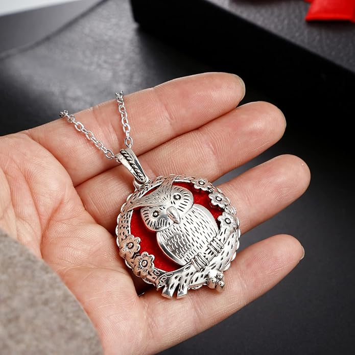 Mixed Pearl Cage Locket Pendants Set, Essential Oil Diffuser DIY Necklace Bracelet Jewelry Making Craft, Bulk Beads Aromatherapy Diffuser Charms Gifts for Women Girls