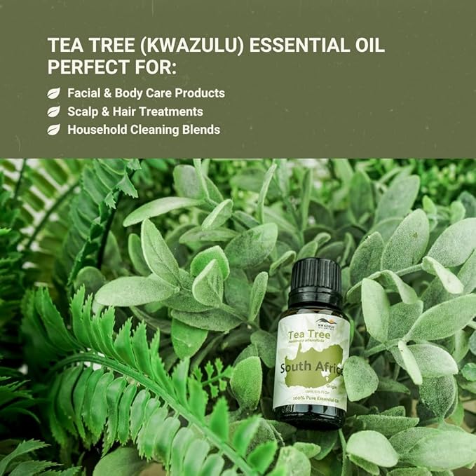 Tea Tree Essential Oil - Direct from Kwazulu Botanicals South Africa - Steam Distilled - Aceite Esencial de Árbol de Té for Aromatherapy, Diffuser, DIY Candle and Soap Making - 22lbs