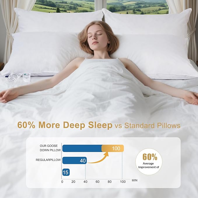Goose Down Pillows Queen Size Set of 2 with 750 Fill Power, Hotel Quality Bed Pillows for Sleeping - Medium Firm Feather Pillows Ideal for Side, Back, Stomach Sleepers (20” x 28”)
