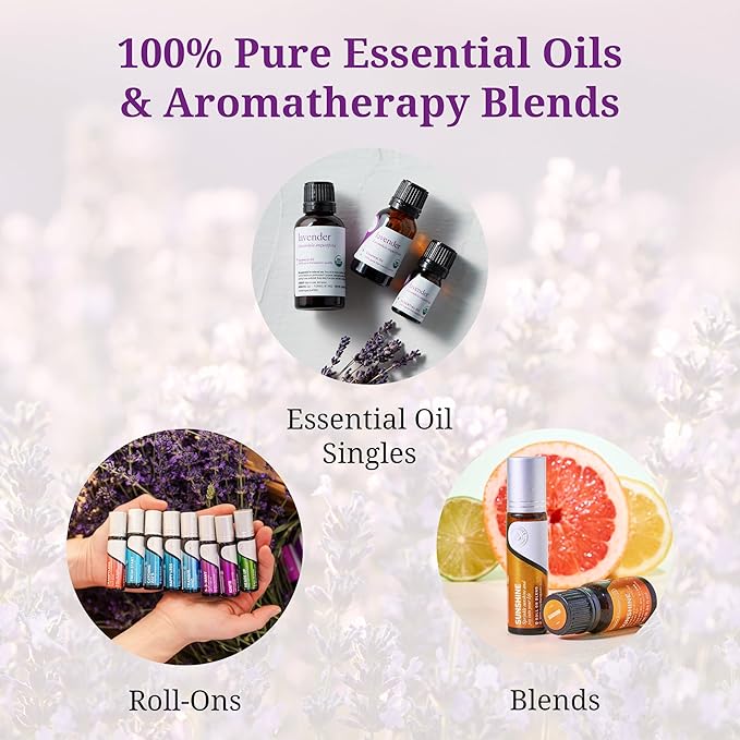 Aromatics International Focus Essential Oil Blend Roll On, 10ml | Aromatherapy Oil for Concentration