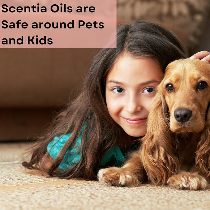 Scentia Pine Frost Essential Oil – 50 ml Christmas Diffuser Oil | Crisp Winter Blend with Fir, Pine, Citrus & Vanilla | Holiday Aromatherapy for Gifting, Candles & DIY Soaps