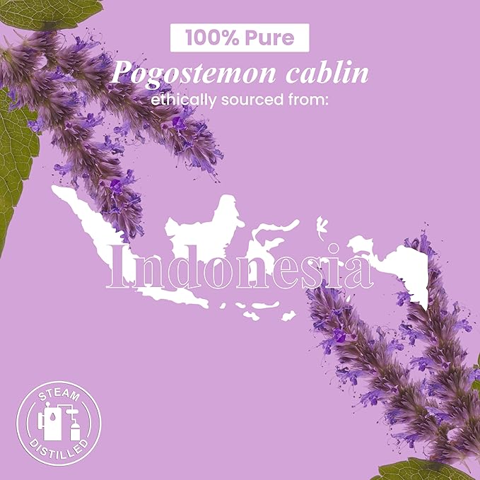 Handcraft Blends Patchouli Essential Oil – 1 Fl Oz – 100% Pure and Natural – Premium Grade Essential Oil for Diffuser and Aromatherapy, Skin, Massage, Candle and Soap Making Fragrance