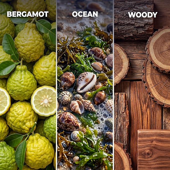 Inspired by 5-Star Hotel Rio de Janeiro RJ03 Hotel Scent Diffuser Oil | 0.5 Fl oz (15 ml) - Waterless Diffuser Oil Refill & Highly Concentrated Fragrance Oil, Diffuser Oil Scents, Hotel Oil Diffuser