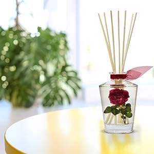 Reed Diffuser Sticks, Set of 80 Wood Rattan Replacement Reed Sticks for Diffuser Oil Bottles, 10 Bundles of 8 (8 inch)