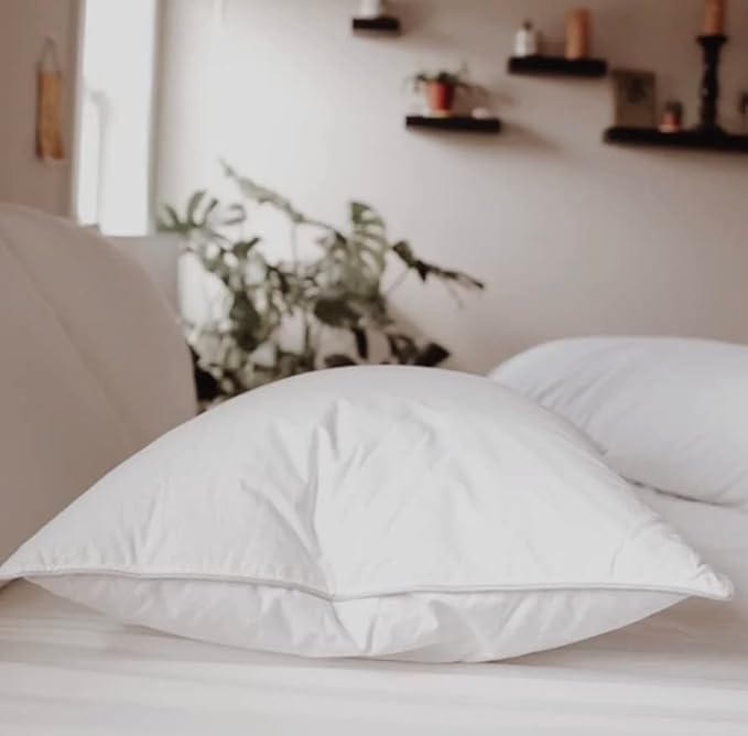 Classic Down Dreams Pillow Queen Firm Hilton Garden Inn by Hilton Hotels Set of 2