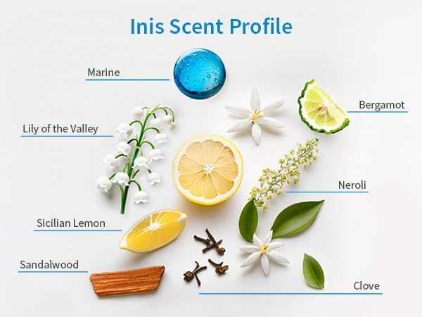 Inis the Energy of the Sea - Home Fragrance Refresher Oil, Essential Oil for Electric Diffusers, Clean Ocean Fresh Aquatic Scent, 0.6 fl oz