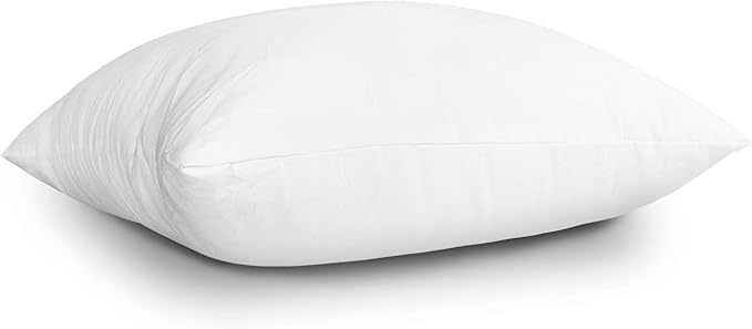 Edow Throw Pillow Insert, Lightweight Soft Polyester Down Alternative Decorative Pillow, Sham Stuffer, Machine Washable 22x22 (White, 1 Count (Pack of 1))