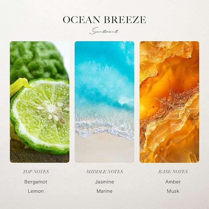 Scentiment Ocean Breeze Diffuser Oil – Bergamot, Lemon, Jasmine with Marine & Amber Scent for Diffusers, Fragrance Oil – 0.68 fl oz (20 mL)