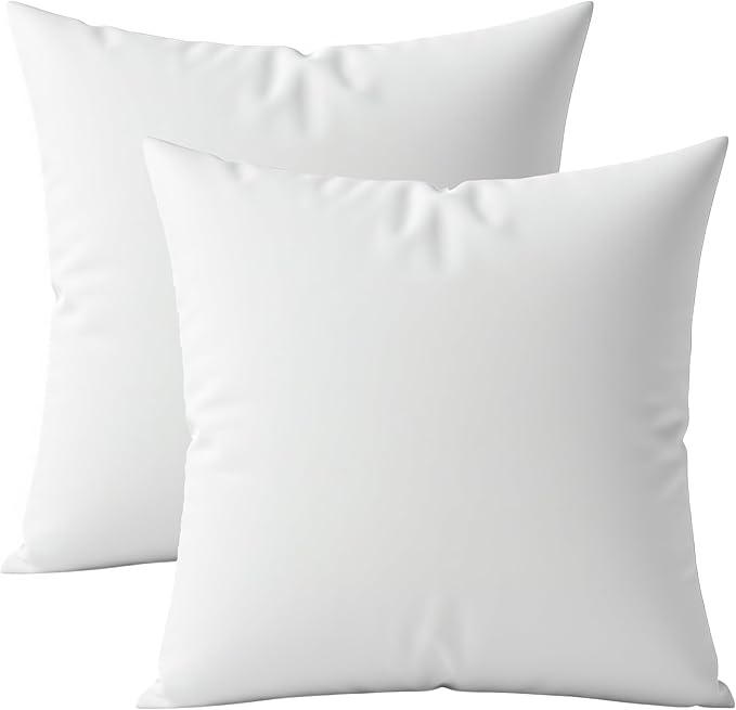 Digital Decor Decorative Throw Pillow Inserts 22x22 Set of 2, Premium Down Alternative Hypoallergenic Pillow Forms for Couch, Sofa & Bed, Made in USA Square Cushion Inserts, White