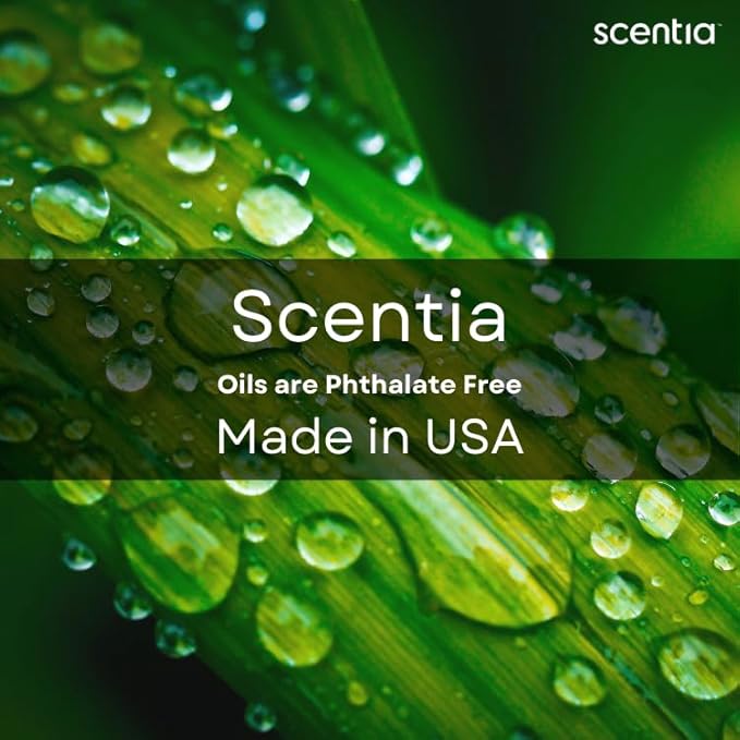 Scentia Pine Frost Essential Oil – 50 ml Christmas Diffuser Oil | Crisp Winter Blend with Fir, Pine, Citrus & Vanilla | Holiday Aromatherapy for Gifting, Candles & DIY Soaps
