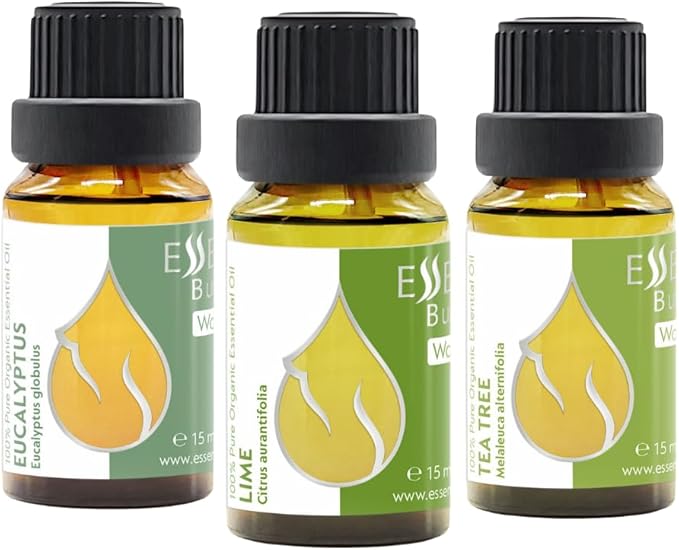 Set Morning Energy Organic Essential Oils | 1.52 Fl Oz | Lime + Tea Tree + Eucalyptus | 100% Pure and Natural | Undiluted | Therapeutic Grade | Non-GMO | (3 pcs x 15 ml)