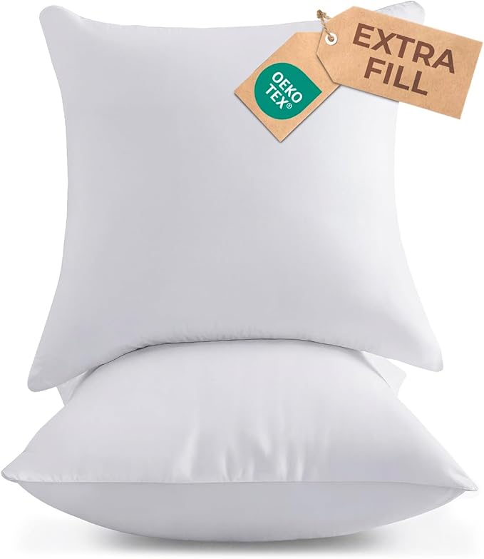 Throw Pillow Inserts 20x20 Set of 2 - Fluffy Down Alternative Fill - 10% More Fill Than Standard Loft - Plump Bounce-Back Support for Indoor & Outdoor Use - Hypoallergenic & Machine Washable - White