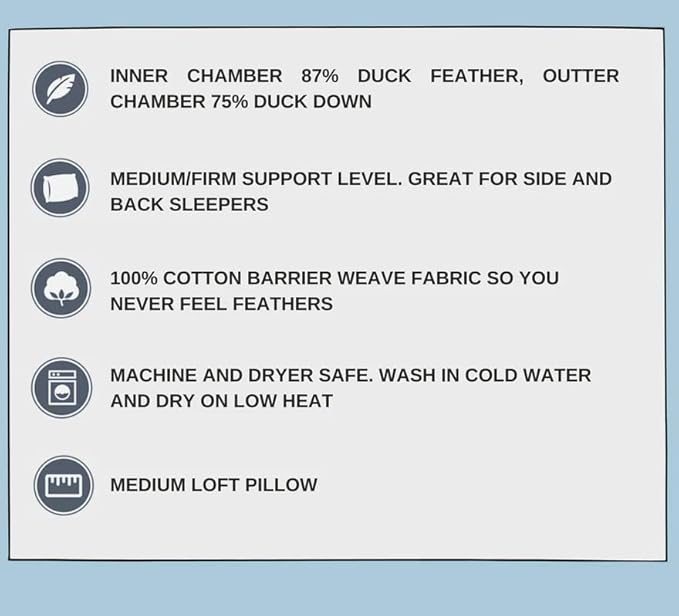 Classic Down Dreams Pillow Queen Firm Hilton Garden Inn by Hilton Hotels Set of 2
