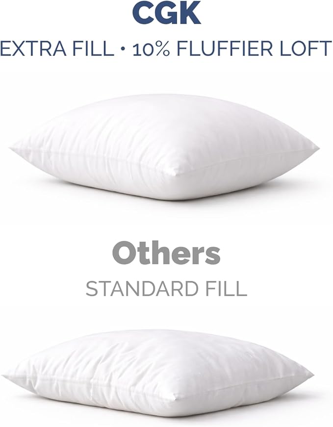 Throw Pillow Inserts 16x16 Set of 2 - Fluffy Down Alternative Fill - 10% More Fill Than Standard Loft - Plump Bounce-Back Support for Indoor & Outdoor Use - Hypoallergenic & Machine Washable - White