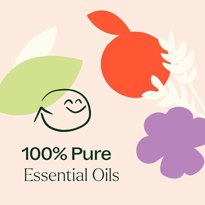 Plant Therapy The Spring Reset Essential Oil Set - Three Exclusive Spring-Focused Blends, Citrus Rise, Wildflower Calm & Herbal Boost, Supports Relaxation, Clarity, and Refreshed Energy