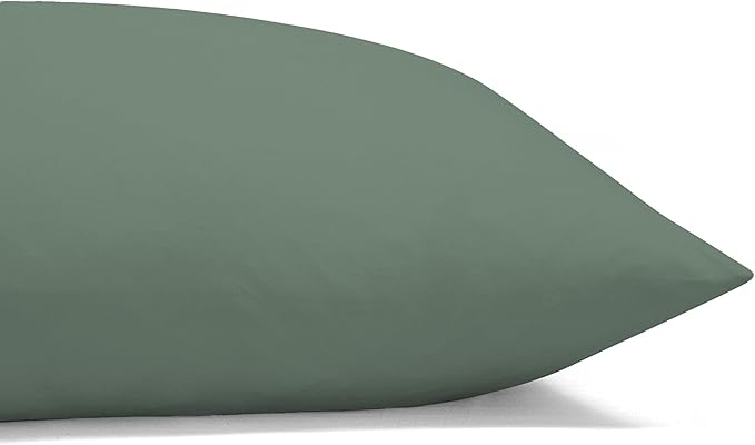 ROYALE LINENS 4 Piece King Sheets Set - Soft Brushed 1800 Microfiber Bedding - 1 Fitted and 1 Flat Sheet, 2 Pillow case - Wrinkle Free & Fade Resistant - Hotel Luxury Bed Sheets Set (Green Bay, King)