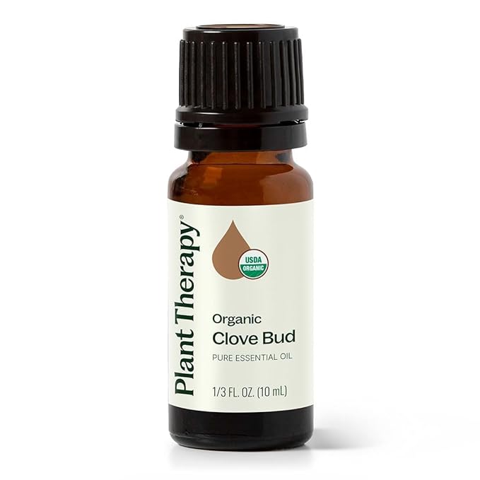 Plant Therapy Organic Clove Bud Essential Oil, 10 mL (1/3 oz), 100% Pure and Undiluted, USDA Certified Organic, Fresh and Spicy Scent, Great for Aromatherapy