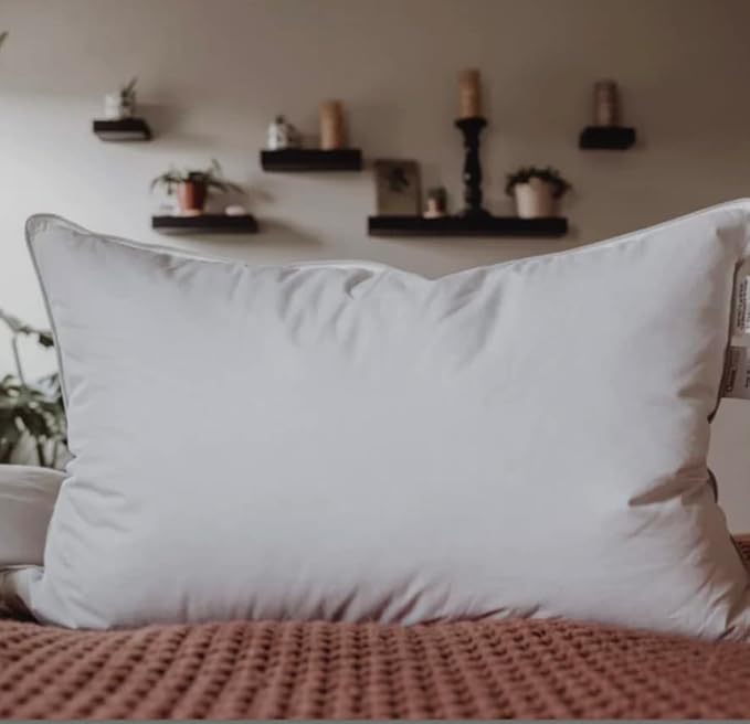 Classic Down Dreams Pillow Queen Firm Hilton Garden Inn by Hilton Hotels Set of 2