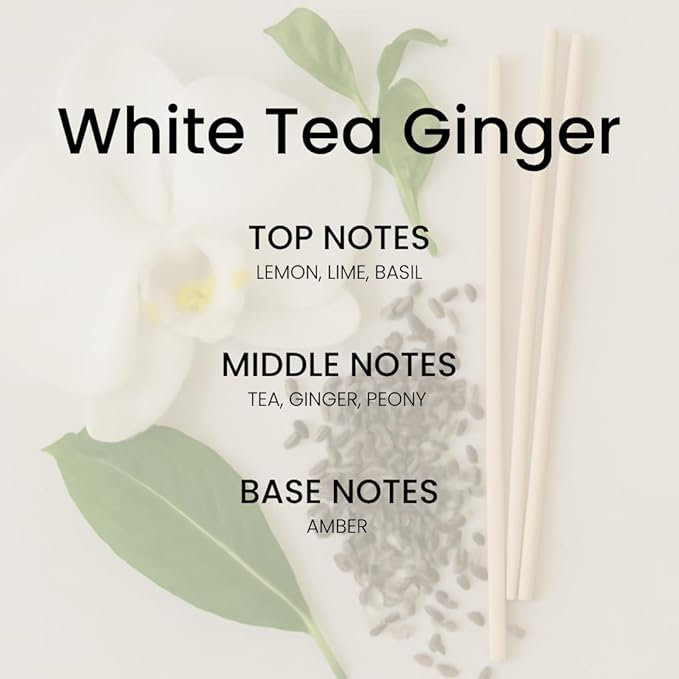 White Tea Amber Reed Diffuser Set - Luxury Fragrance Reed Diffusers for Home. Office, Bathroom, Kitchen and Home Decor - Long-Lasting Scent with Non-Toxic Oils (5.63 oz, 160ml)