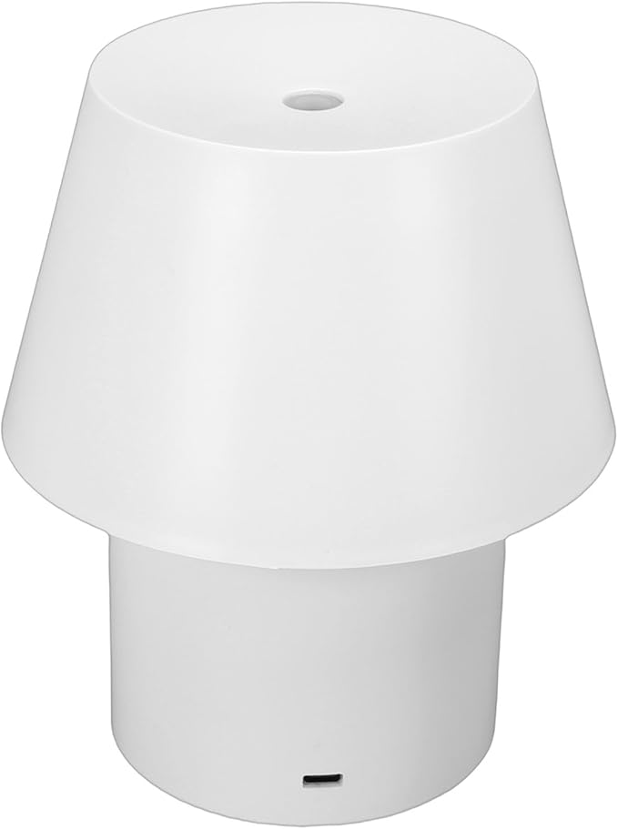 Bewinner Ultrasonic Aromatherapy Diffuser with Night Light | 160ml Quiet Mist Diffuser for Home Office Bedroom Mood Lamp (Flat Top)