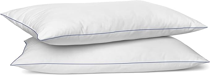 SILUI Flat Soft Thin Pillows Queen Size Set of 2 Pack Bed Pillow with Down Alternative Fill for Side Back Stomach Sleepers, 20x30 Inches, White