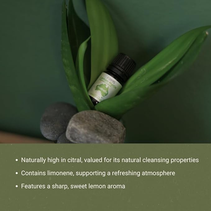 Lemon Myrtle Essential Oil - Experience an Invigorating, Fresh Citrus Aroma - Pure, Undiluted Therapeutic Grade Essential Oil - 5 ml