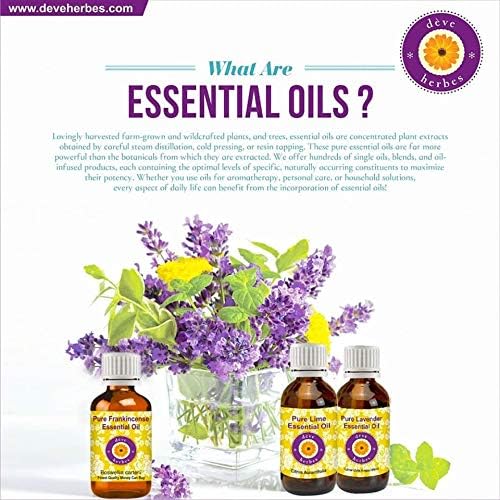 Deve Herbes Pure Chilli Seed Essential Oil (Capsicum annum) Steam Distilled 10ml (0.33 oz)