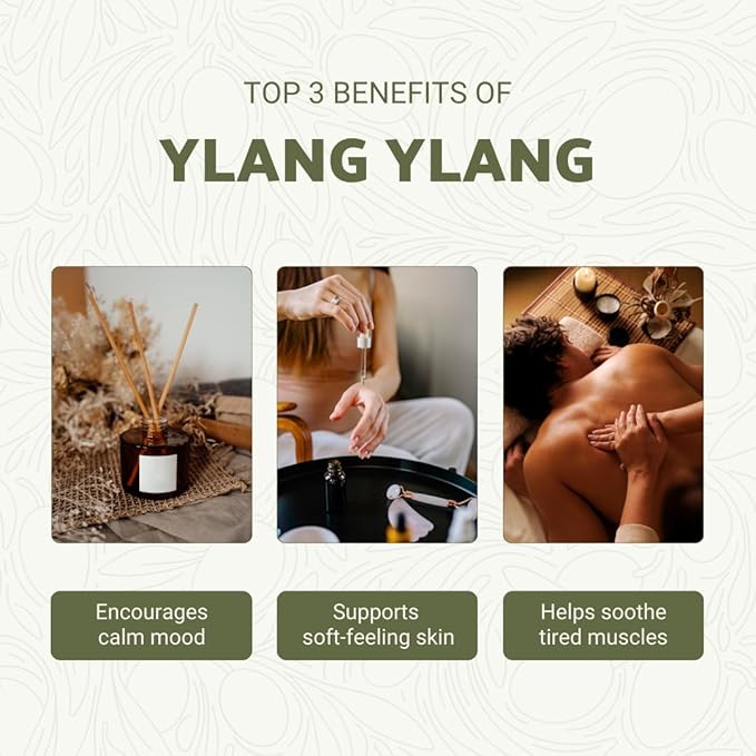 Ylang Ylang Essential Oil - Direct from Malagassi Essential Oils Madagascar - Steam Distilled - Aceite de Ylang Ylang for Aromatherapy, Diffuser, DIY Candle and Soap Making - 2lbs