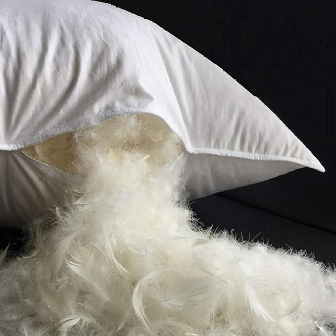 Goose Feathers Down Pillow for Sleeping,Hotel Collection Queen Size Soft Bed Pillow,100% Cotton Cover Queen Size (20X30IN) 1 Pack