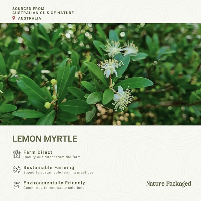 Lemon Myrtle Essential Oil - Experience an Invigorating, Fresh Citrus Aroma - Pure, Undiluted Therapeutic Grade Essential Oil - 5 ml