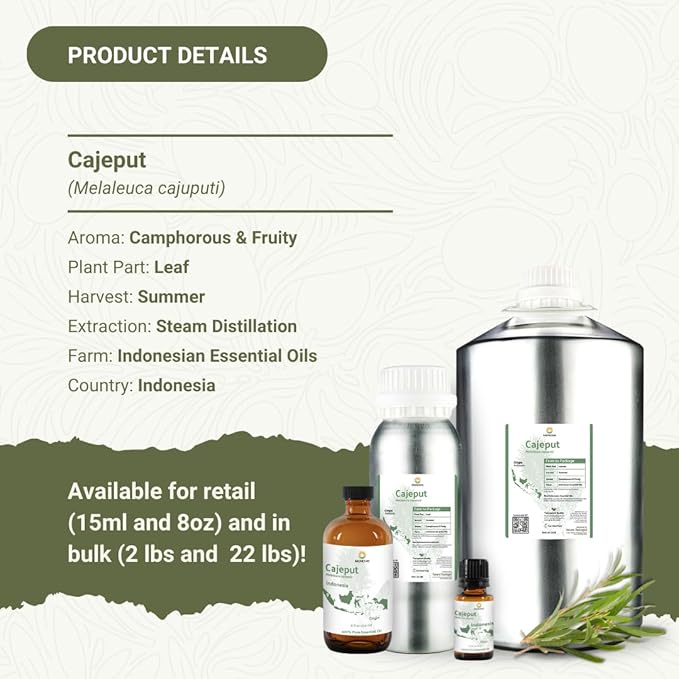 Cajeput Essential Oil (2lbs) - Direct from Central Java, Indonesia - Essential Oils for Diffusers Aromatherapy; Essential Oils for Body; Massage Oils | 100% Pure Therapeutic Grade