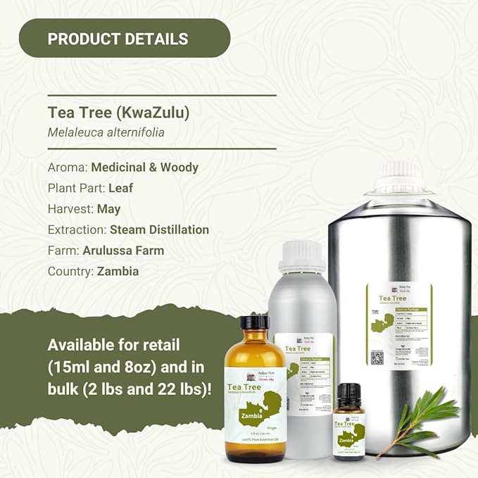 Tea Tree Essential Oil - Direct from Kwazulu Botanicals South Africa - Steam Distilled - Aceite Esencial de Árbol de Té for Aromatherapy, Diffuser, DIY Candle and Soap Making - 15ml