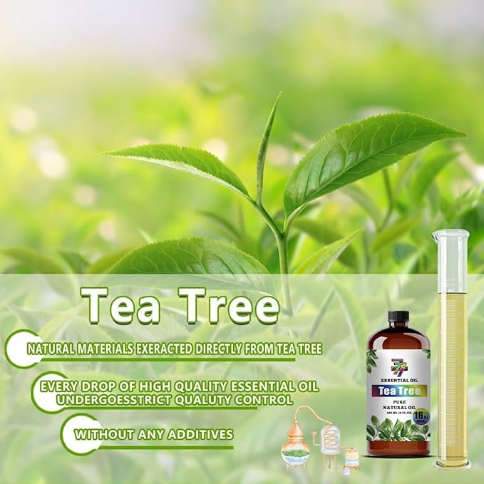 Tea Tree Essential Oil - Tea Tree Oils for Diffusers, Humidifiers, DIY Candles, Soap, Cleaning, Home, Office, Yoga, Massage, Gifts - 16 fl oz (480 ml) - GV77ZF