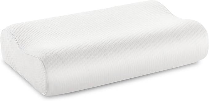 Dream Serenity Contour Memory Foam Pillow - Standard (22" x 14" x 4/5")