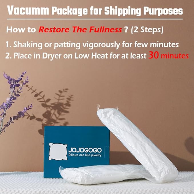 JOJOGOGO 12x20 Indoor Lumbar Pillow Inserts Set of 2, 12 x 20 White Fluffy Decorative Toss Pillows for Couch Patio Sofa and Indoor Decor Synthetic Down Alternative Throw Pillow Inserts