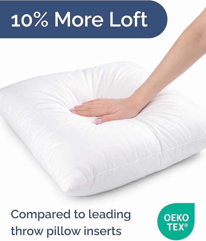 Throw Pillow Inserts 22x22 Set of 2 - Fluffy Down Alternative Fill - 10% More Fill Than Standard Loft - Plump Bounce-Back Support for Indoor & Outdoor Use - Hypoallergenic & Machine Washable - White