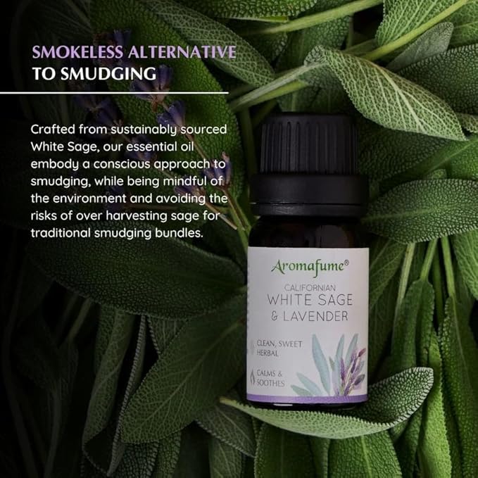 White Sage & Lavender Essential Oil Diffuser Blend by Aromafume | 3x10ml/0.33 fl oz | Aromatherapy Oil for Cleansing Negative Energy & Protection | Ethically sourced | Sage Oil for Smokeless Smudging