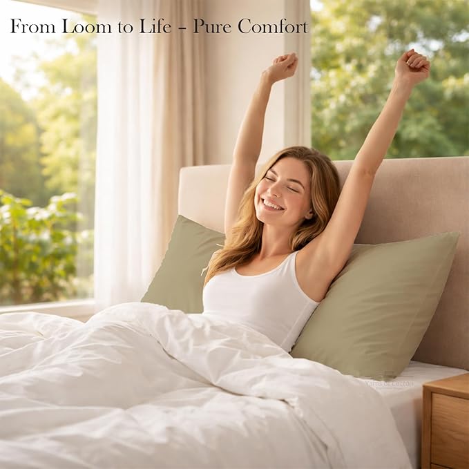 400 Thread Count 100% Egyptian Cotton Queen Size Pillowcases Set of 4, Soft & Breathable Sateen Weave, Envelope Closure, Hotel Luxury Bed Linen, Durable & Fade Resistant, 20"x30", Beige