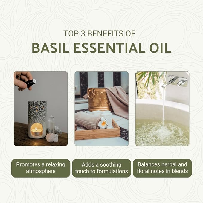 Basil Essential Oil - Direct from Fridal Egypt - Steam Distilled - Aceite de Albahaca for Aromatherapy, Massage, Diffuser, DIY Candle and Soap Making - 2 lbs