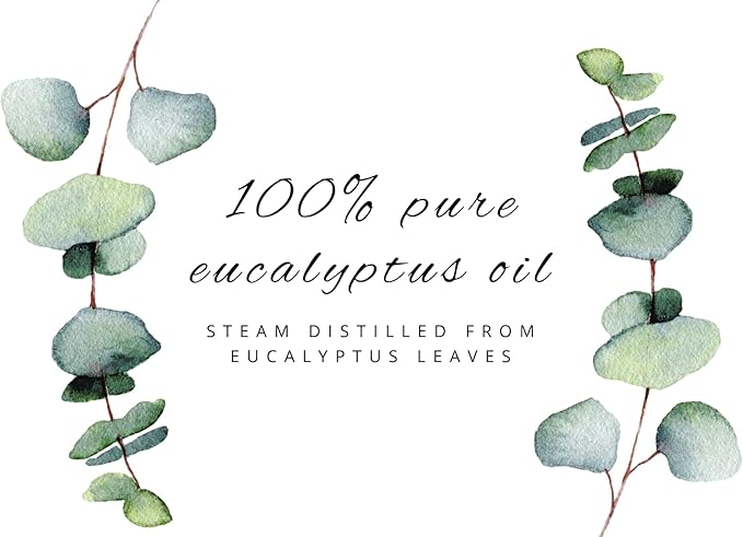 GreenHealth Eucalyptus Globulus Essential Oil – 32 fl oz (946 ml) Aluminum Bottle w/Plug Cap – 100% Pure Essential Oil