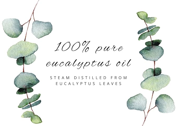 GreenHealth Eucalyptus Essential Oil – 15 ml (0.5 fl oz) – 100% Pure & Natural – Therapeutic Grade Aromatherapy Oil – Amber Glass Bottle with Euro Dropper – for Diffuser, Cleaning, Home Use