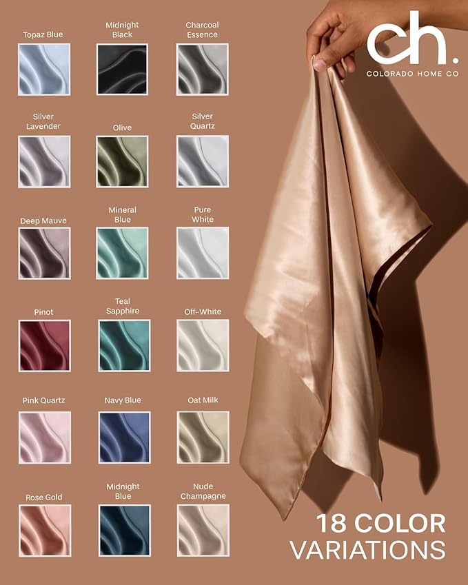 SUNDAYSILKS™ | Silk Pillow Cases 2 Pack | 22 Momme Mulberry Silk Pillowcase Set of 2 | All Sides 100% Pure Silk Slip Pillowcases Bliss for Couples, Zipper | Standard Queen, King Size [Silver Quartz]