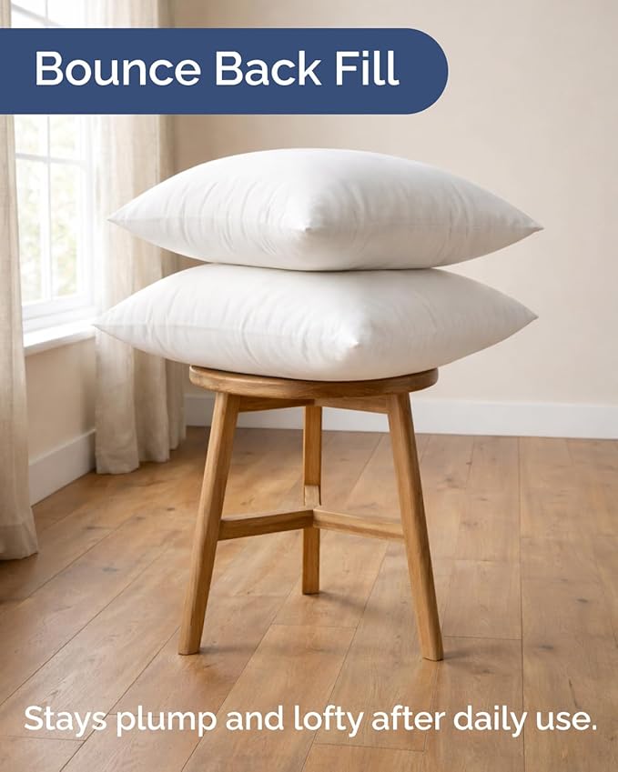 Throw Pillow Inserts 20x20 Set of 2 - Fluffy Down Alternative Fill - 10% More Fill Than Standard Loft - Plump Bounce-Back Support for Indoor & Outdoor Use - Hypoallergenic & Machine Washable - White
