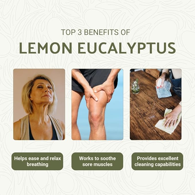 Lemon Eucalyptus Oil by Eucaliptus from Brazil - Pure Lemon Eucalyptus - 100% Pure Steam Distilled Natural Aceite de Eucalipto Limón - Aromatherapy - Premium Therapeutic Grade (8oz)