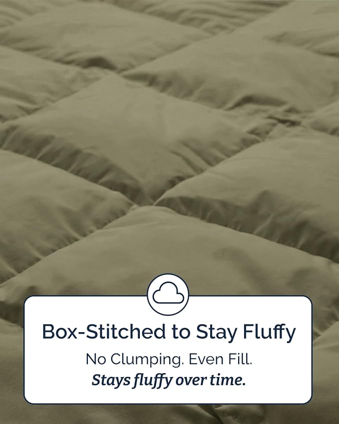 Twin XL Comforter Set - 2 Piece Bed Set for All Seasons - 1 Soft Quilted Comforter w/ Corner Tabs & 1 Pillow Sham - Comfy & Breathable - Premium Down Duvet Insert - Oeko-TEX - Twin XL Size, Sage Green