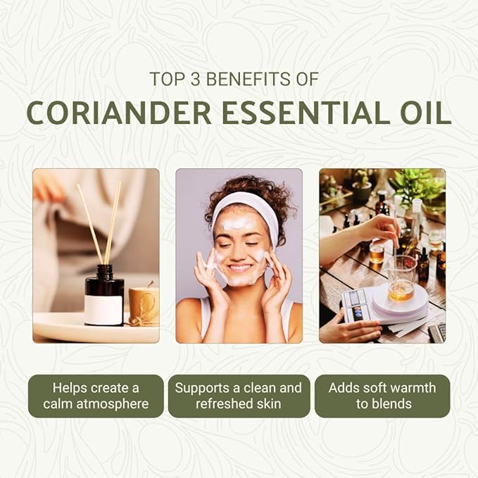 Coriander Essential Oil - Direct from Bulgarian Balkan Mountains - Steam Distilled - Aceite Cilantro for Aromatherapy, Massage, Diffuser, DIY Candle and Soap Making - 8oz