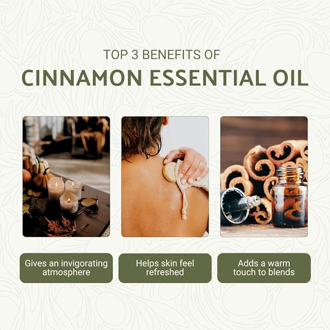 Cinnamon Essential Oil - Direct from Sri Lankan Essential Oils - 100% Pure - Natural Aceite de Canela for Aromatherapy & Wellness - Premium Grade (8oz)